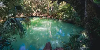 Deltona Thumbnail