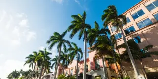 Palm Bay Thumbnail