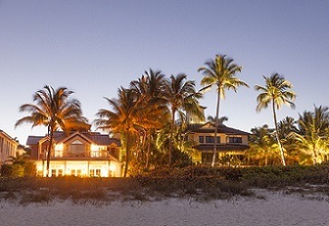 Beachfront homes with palm trees