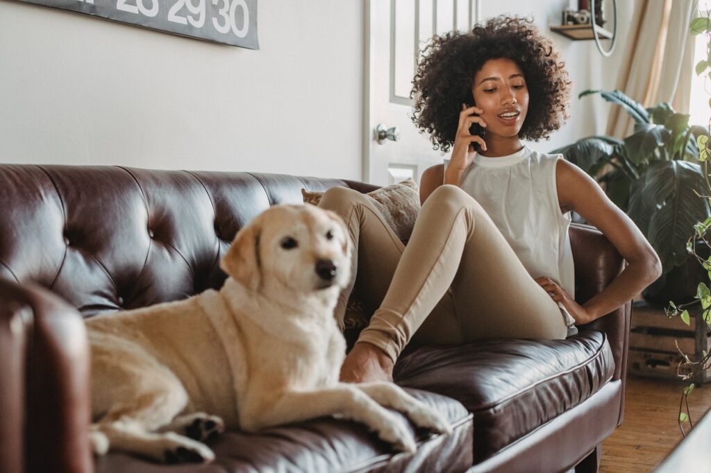 Woman on phone sitting on couch of apartment with dog.