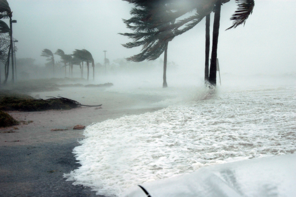 View of a beach during a hurricane. Rough beach waves and blowing palm trees.